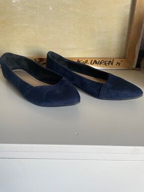 Women's Navy Suede Pointed Ballet Flats